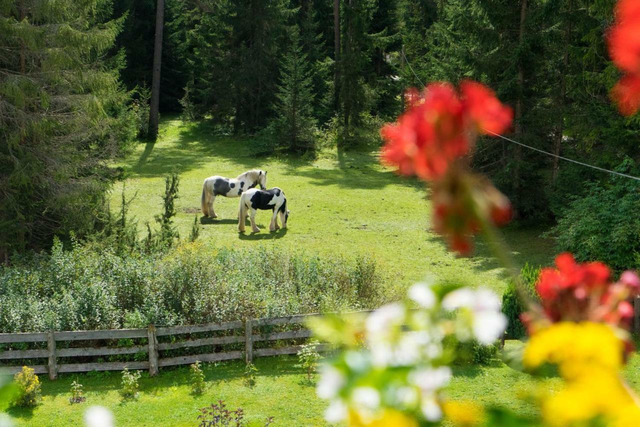 Ferienhaus Tannenblick Лойташ Экстерьер фото